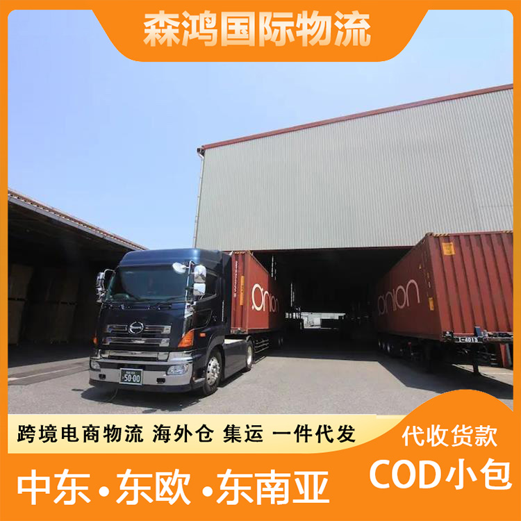 波兰专线小包 波兰小包小包代收货款让您更放心