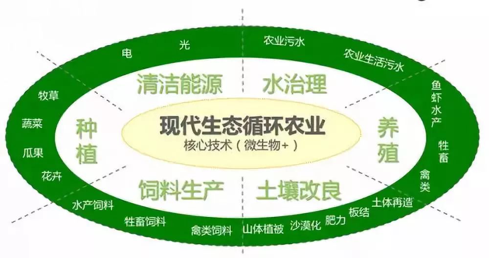 英雄联盟匹配成功图片_5e匹配成功进不去_丁磊的成功与市场环境的匹配