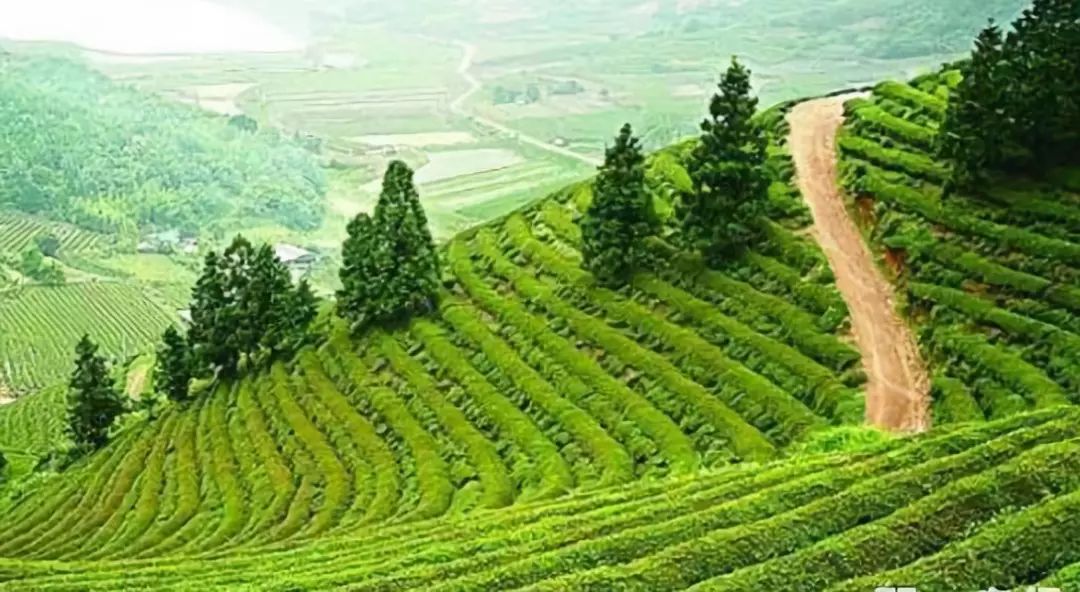 丁磊的成功与市场环境的匹配_5e匹配成功进不去_英雄联盟匹配成功图片