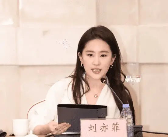 刘亦菲玫瑰的故事研讨会深度解析：从仙气女神到实力演员的蜕变之路